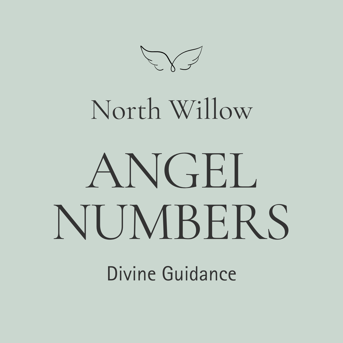 Angel Numbers Collection